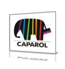 Caparol Boya